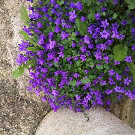 Вілла O Jardin De Boutancourt Екстер'єр фото