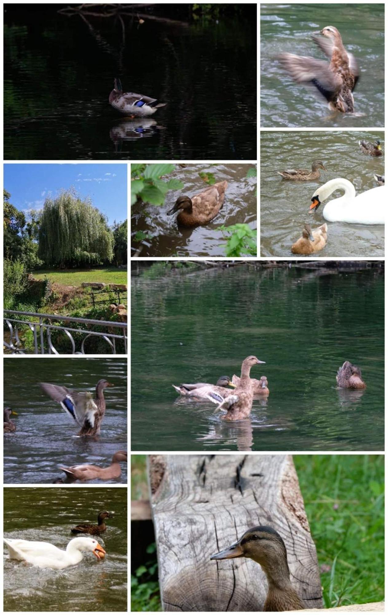 Вілла O Jardin De Boutancourt Екстер'єр фото
