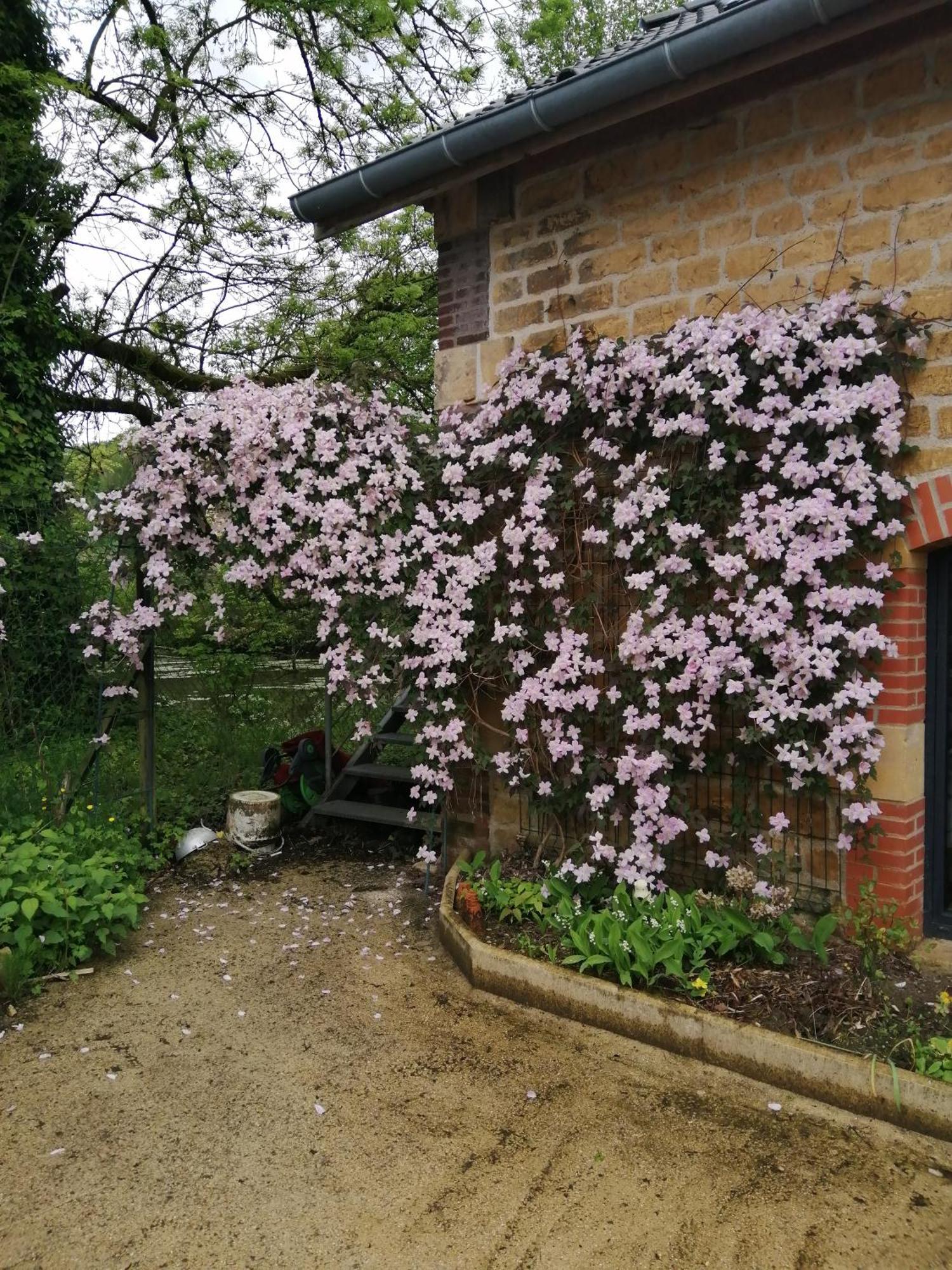 Вілла O Jardin De Boutancourt Екстер'єр фото