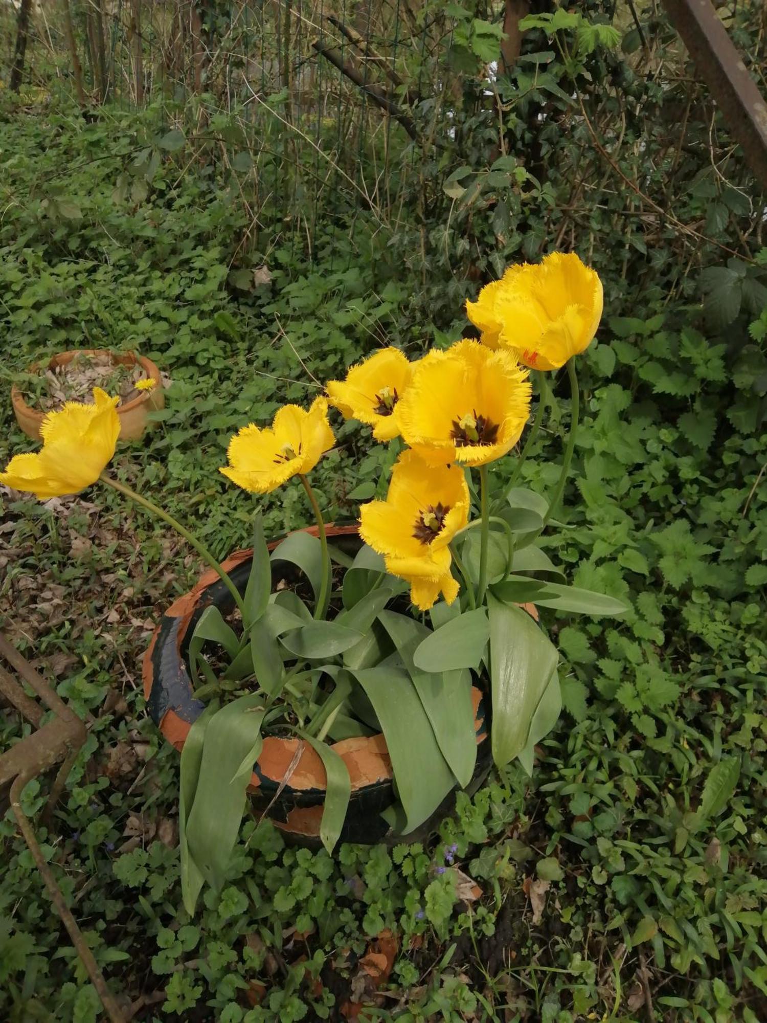 Вілла O Jardin De Boutancourt Екстер'єр фото