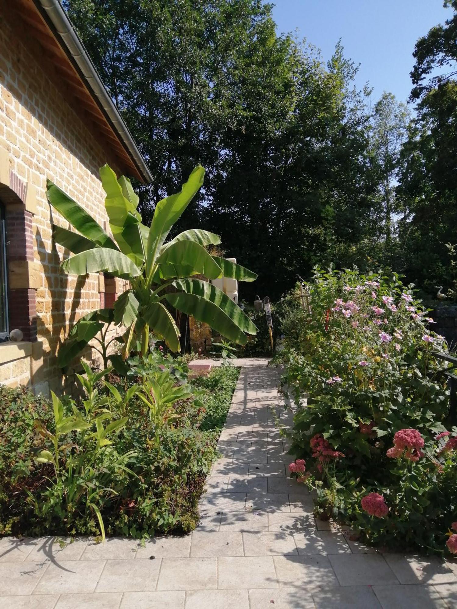 Вілла O Jardin De Boutancourt Екстер'єр фото