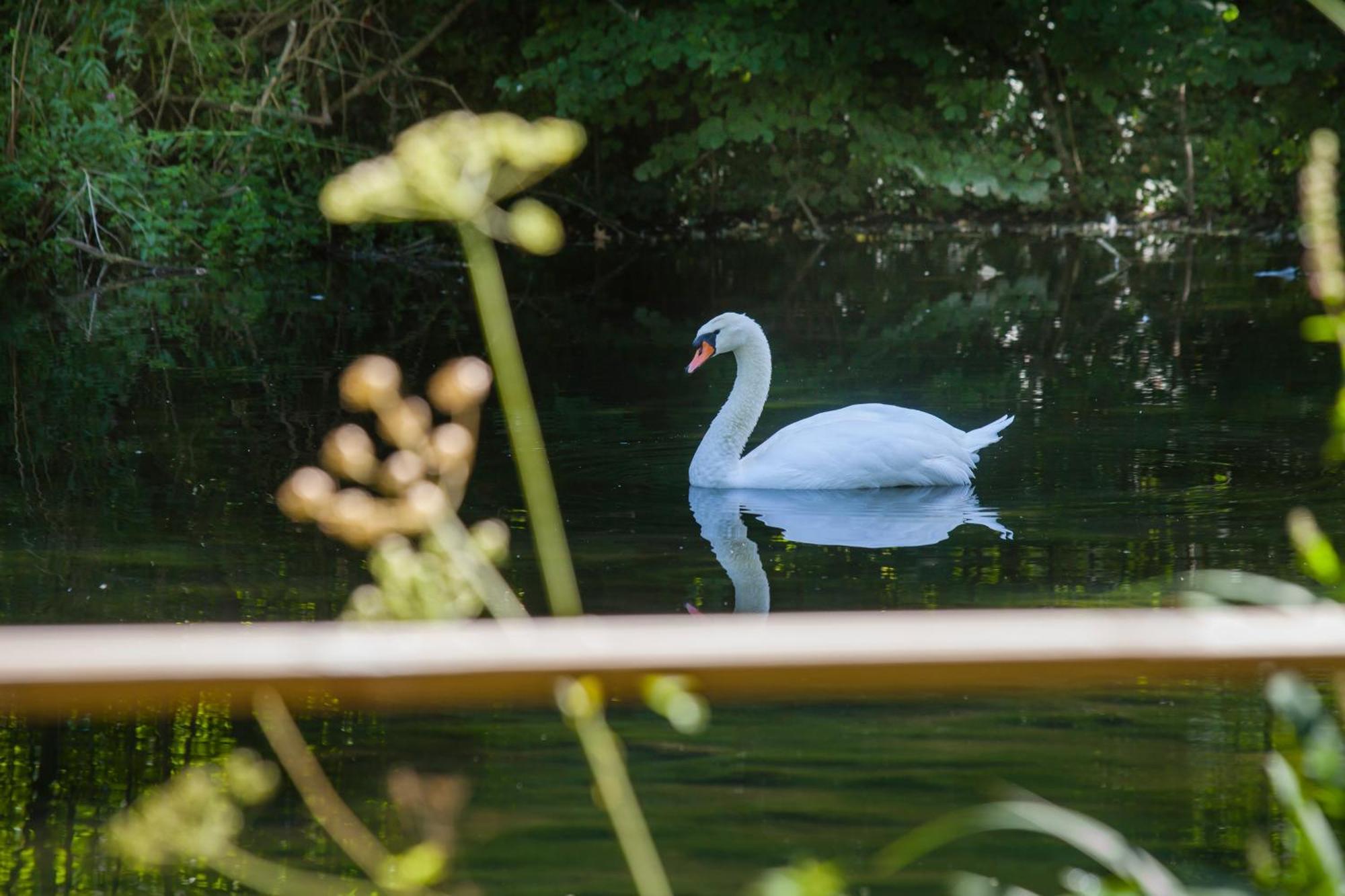 Вілла O Jardin De Boutancourt Екстер'єр фото
